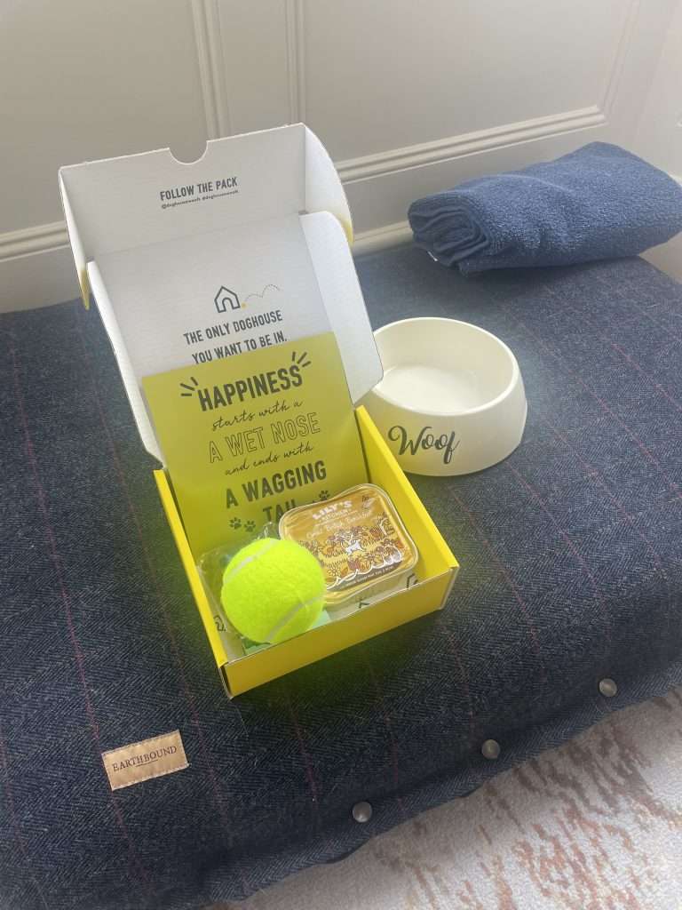 dog treats