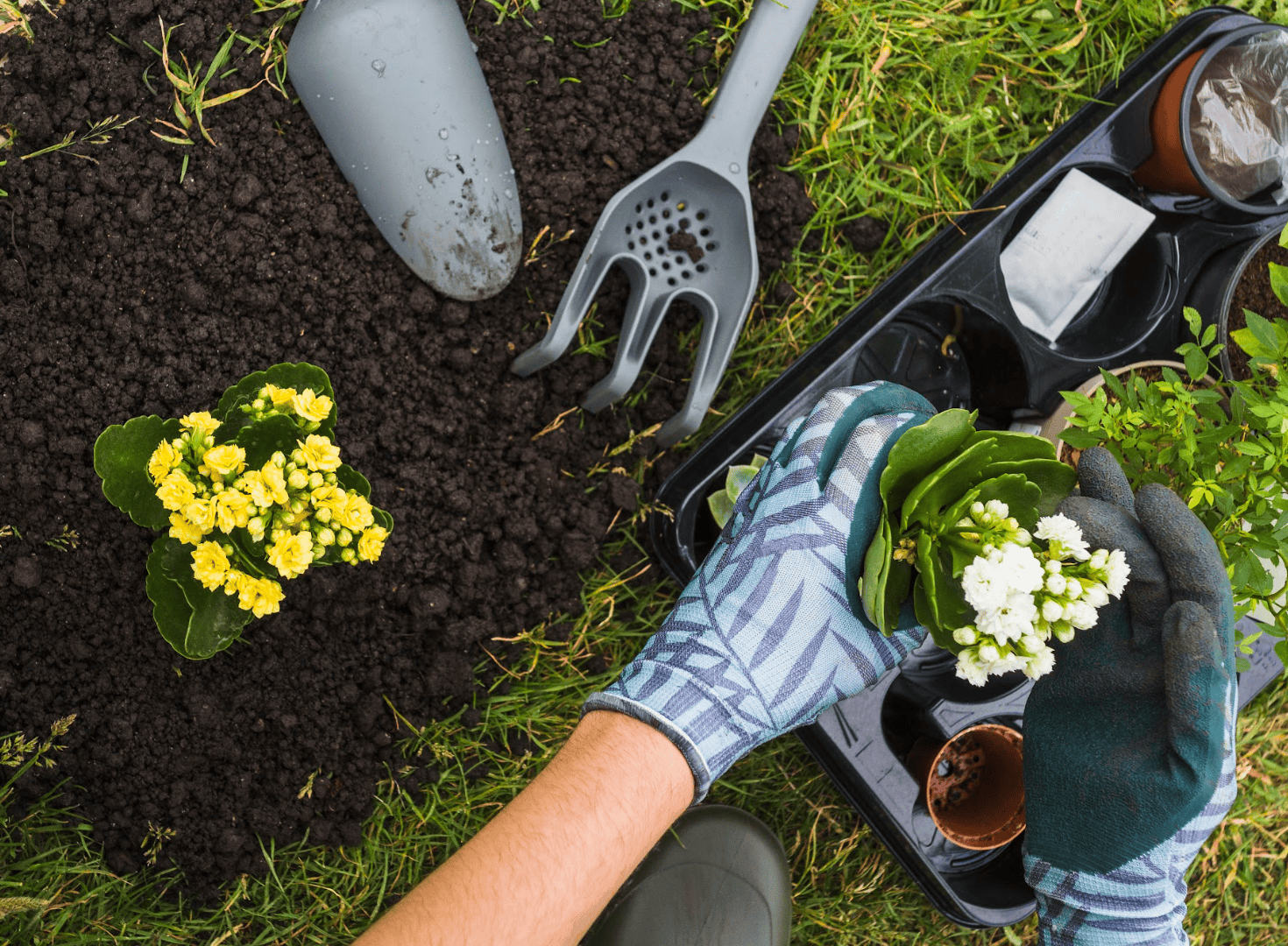 Earth Day Event